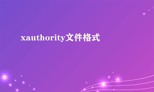 xauthority文件格式