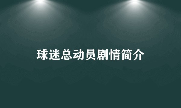 球迷总动员剧情简介