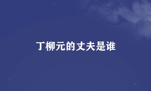 丁柳元的丈夫是谁