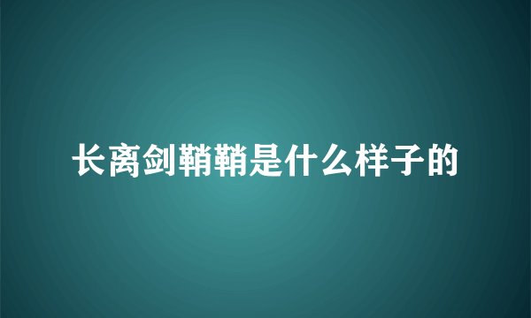 长离剑鞘鞘是什么样子的