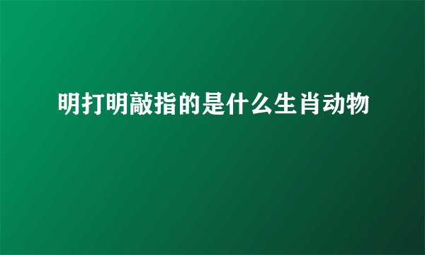 明打明敲指的是什么生肖动物