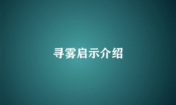寻雾启示介绍