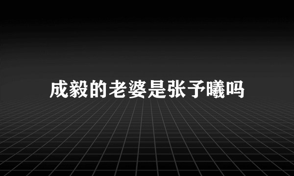 成毅的老婆是张予曦吗