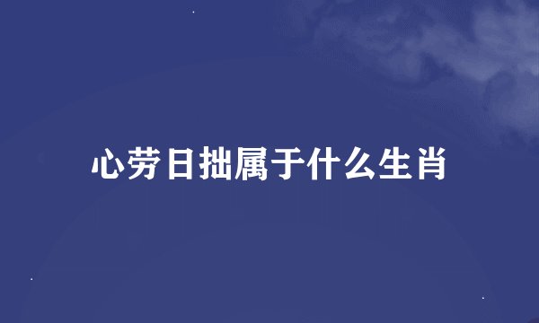 心劳日拙属于什么生肖
