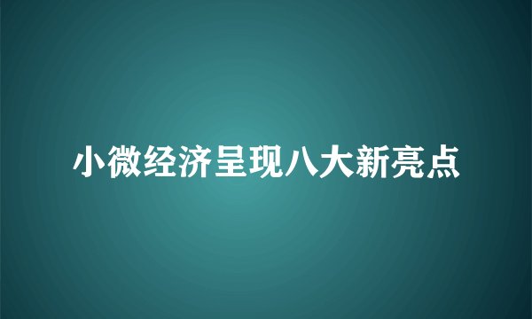 小微经济呈现八大新亮点