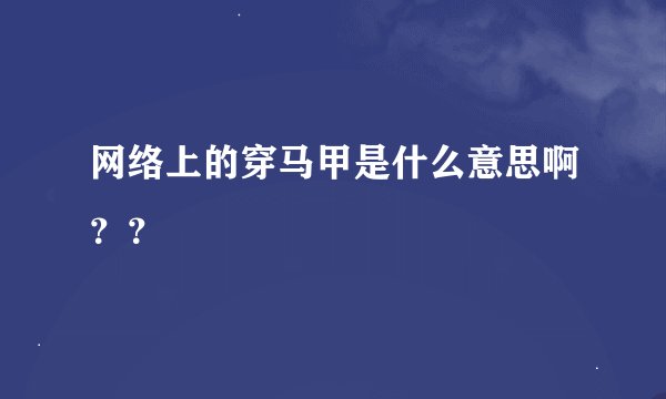 网络上的穿马甲是什么意思啊??