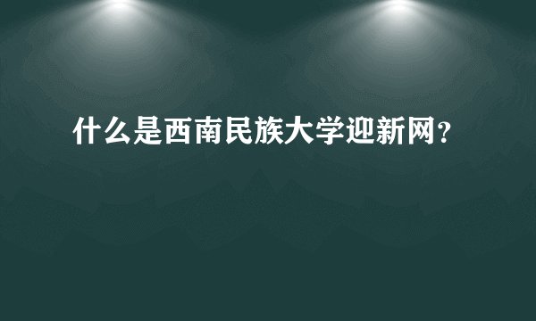 什么是西南民族大学迎新网？