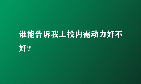 谁能告诉我上投内需动力好不好？