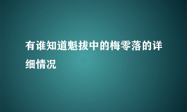 有谁知道魁拔中的梅零落的详细情况