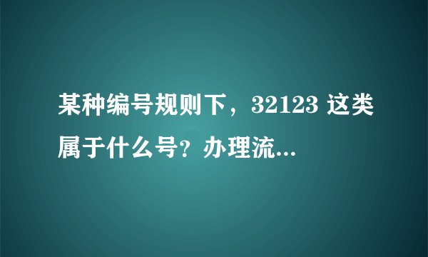 某种编号规则下，32123 这类属于什么号？办理流程是什么样的？