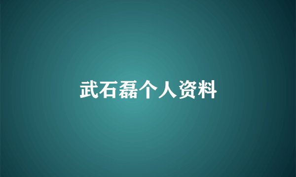 武石磊个人资料