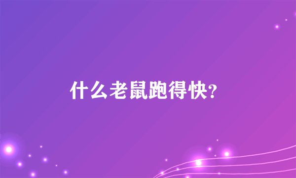 什么老鼠跑得快？