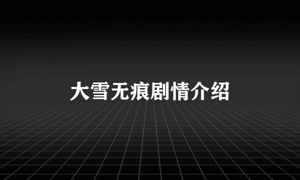大雪无痕剧情介绍