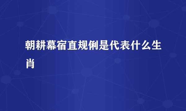 朝耕幕宿直规俐是代表什么生肖