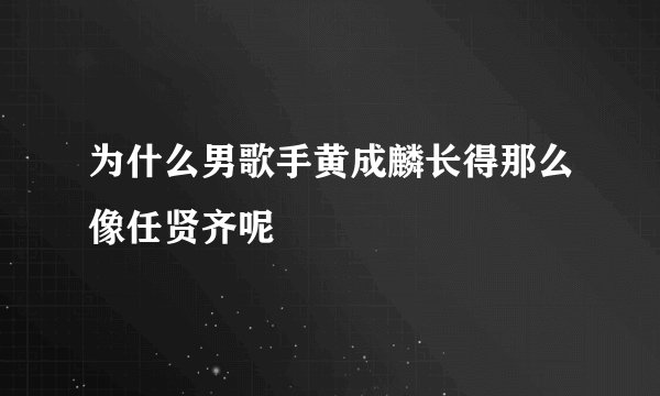 为什么男歌手黄成麟长得那么像任贤齐呢