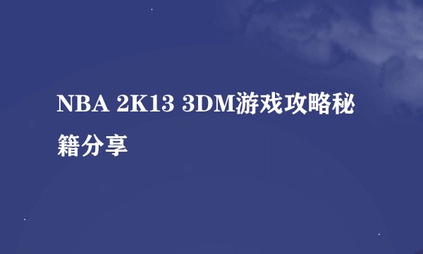 NBA 2K13 3DM游戏攻略秘籍分享