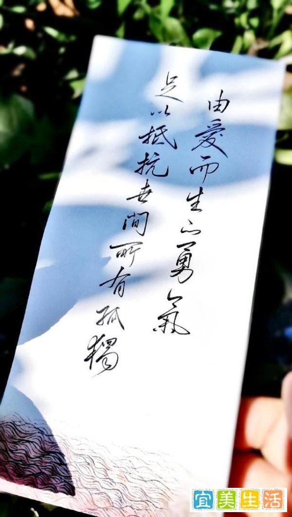 淡淡的雾 牵几缕轻烟 采一把玫瑰 等待与你相遇~
