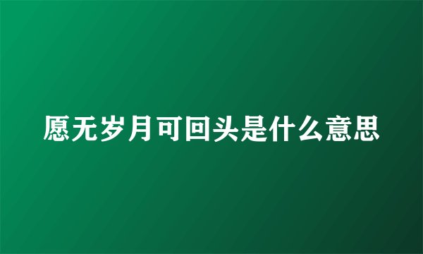 愿无岁月可回头是什么意思