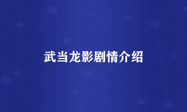 武当龙影剧情介绍