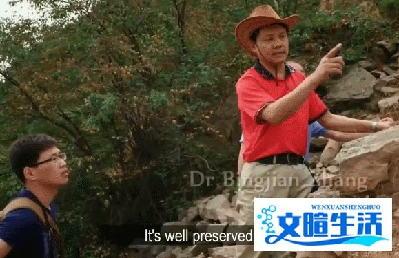 手写129页,堪比打印!这份毕业论文刷屏了