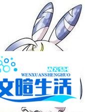nds数码宝贝日光攻略