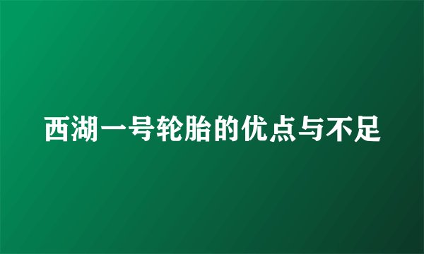 西湖一号轮胎的优点与不足