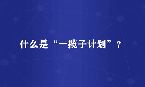 什么是“一揽子计划”？