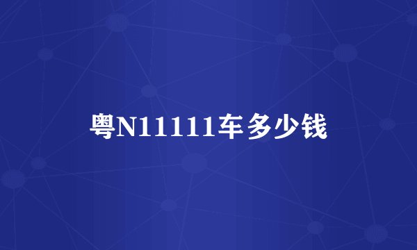 粤N11111车多少钱
