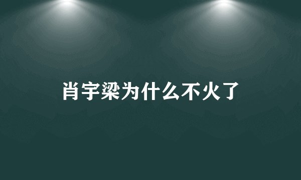 肖宇梁为什么不火了