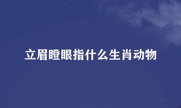 立眉瞪眼指什么生肖动物