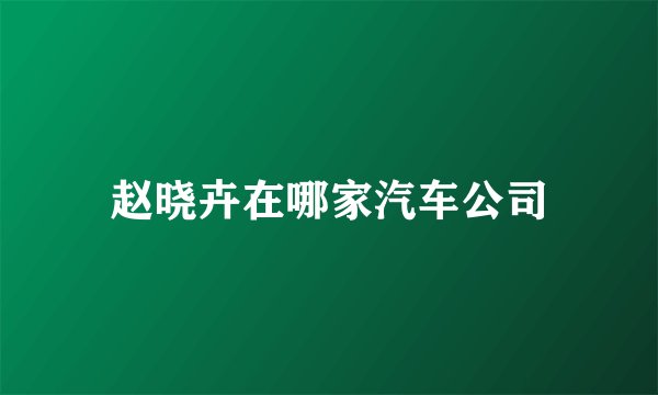 赵晓卉在哪家汽车公司