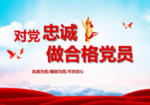 强化对党忠诚方面存在的问题