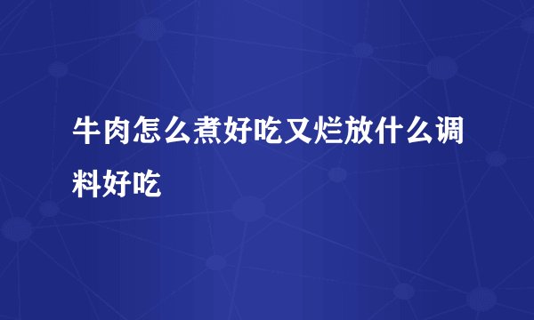 牛肉怎么煮好吃又烂放什么调料好吃