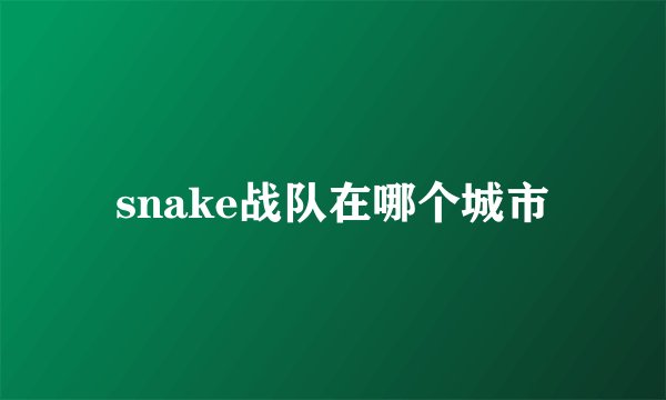 snake战队在哪个城市