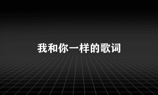 我和你一样的歌词