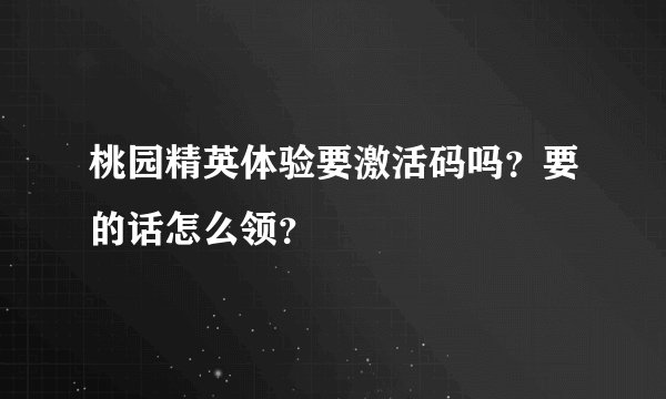 桃园精英体验要激活码吗?要的话怎么领?