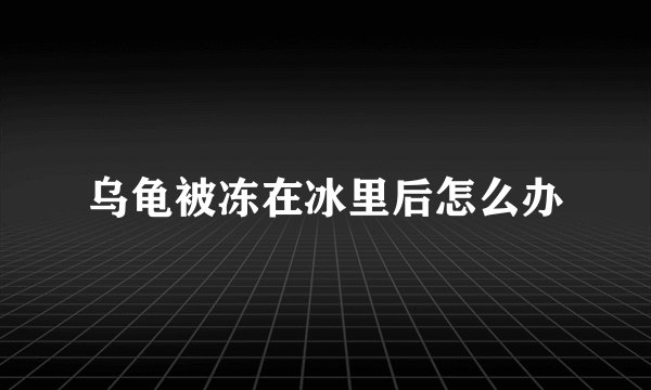 乌龟被冻在冰里后怎么办