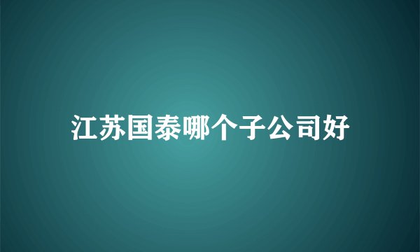 江苏国泰哪个子公司好