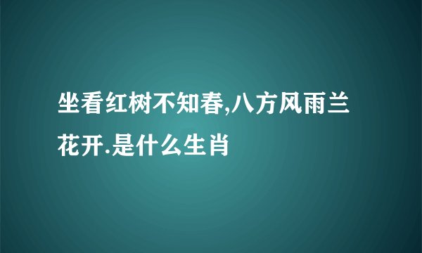 坐看红树不知春,八方风雨兰花开.是什么生肖