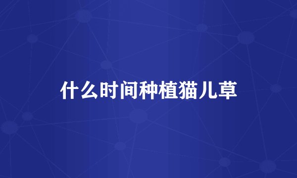 什么时间种植猫儿草