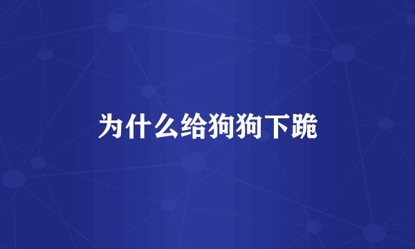为什么给狗狗下跪