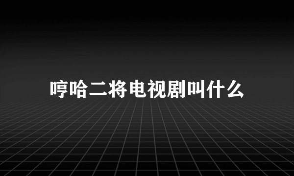 哼哈二将电视剧叫什么