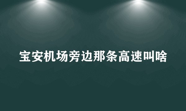 宝安机场旁边那条高速叫啥
