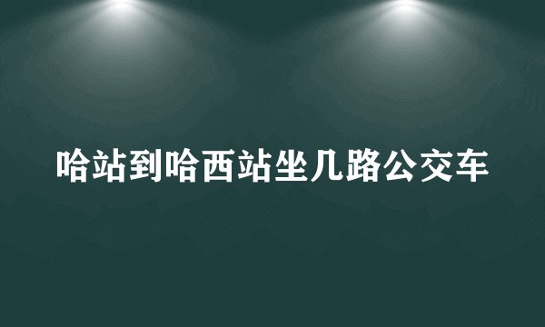 哈站到哈西站坐几路公交车