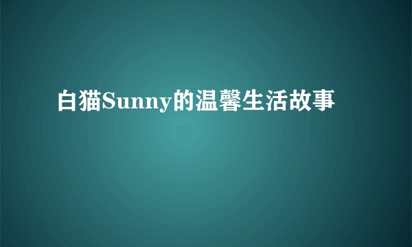 白猫Sunny的温馨生活故事