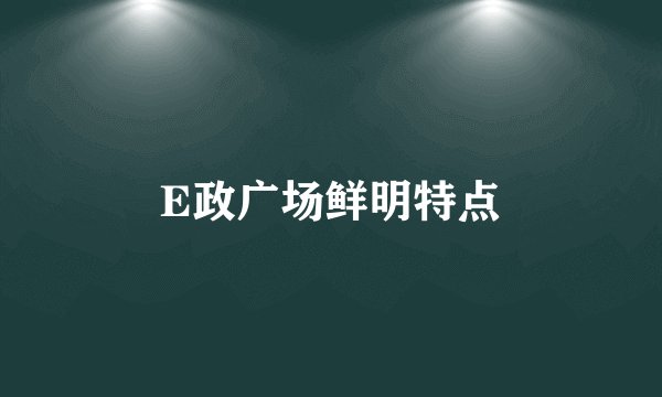 E政广场鲜明特点