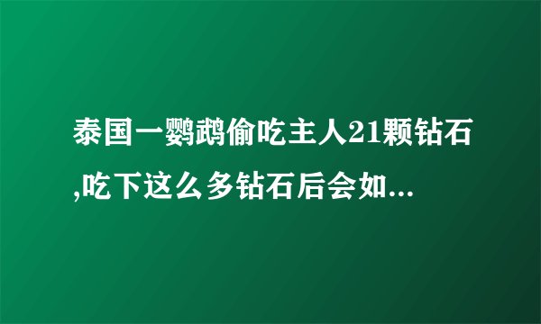 泰国一鹦鹉偷吃主人21颗钻石,吃下这么多钻石后会如何影响鹦鹉的...