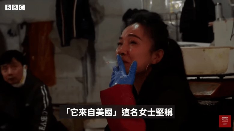 武汉市民怒怼bbc记者,究竟所谓何事?