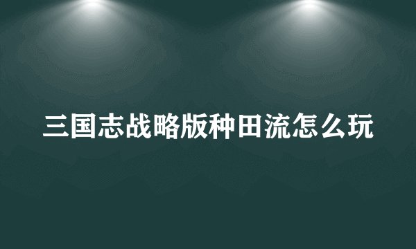 三国志战略版种田流怎么玩
