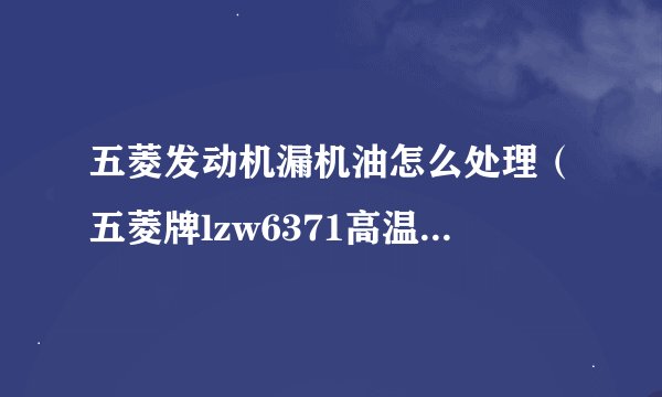 五菱发动机漏机油怎么处理（五菱牌lzw6371高温后往机油壳底漏水怎么回事）